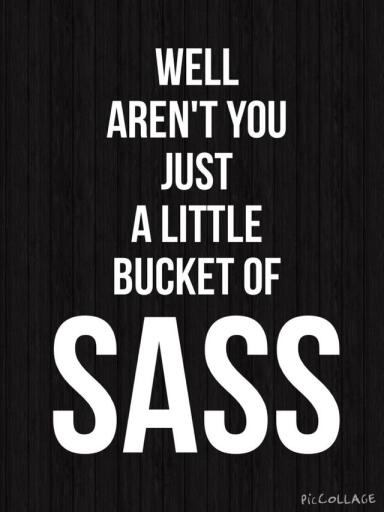 Well arent you a little bucket of sass