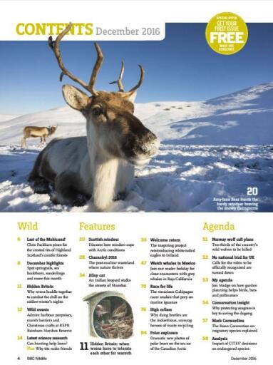 BBC Wildlife December 2016 (2)