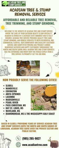 Tree Removal Slidell | Acadian Tree and Stump Removal Service