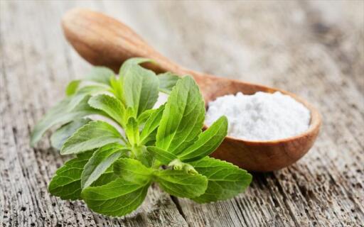 Everything you need to know about Stevia