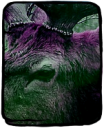 test deer2