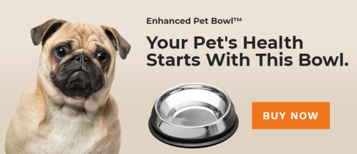 Dog feeding bowl