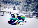Big Green (Winter)