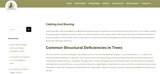 Tree branch support systems