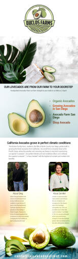 Organic Avocados Online