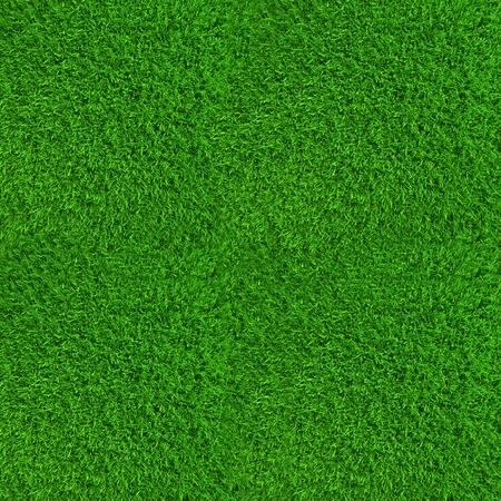 grass4