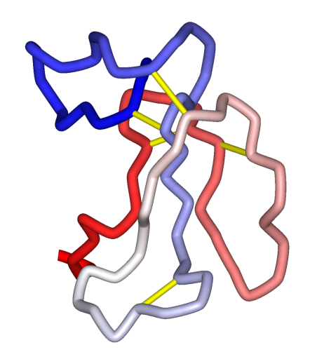 bnp brain natriuretic peptide