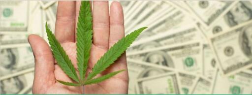 Cannabis investment latam