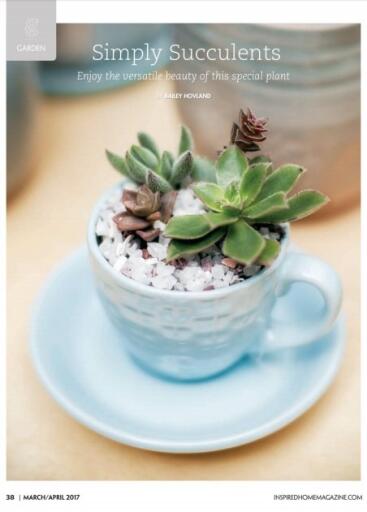 Inspired Home Magazine March April 2017 (4)