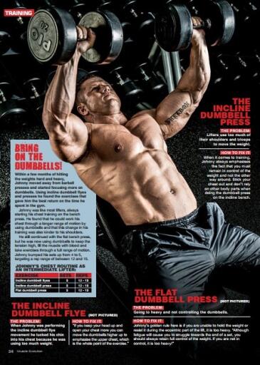Muscle Evolution March April 2017 (4)