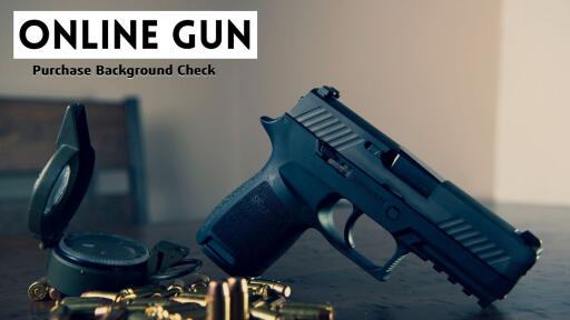 Online gun purchase background check