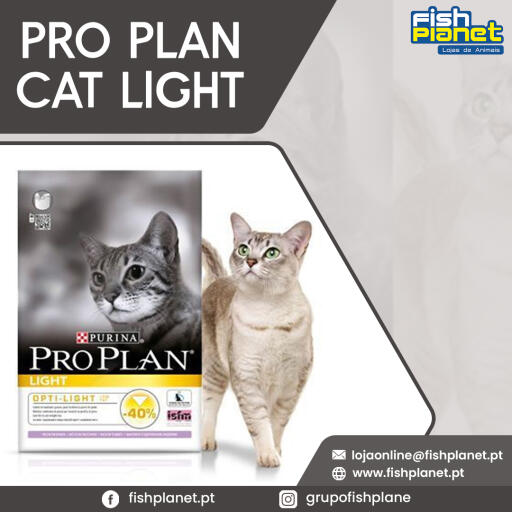 PRO PLAN CAT LIGHT