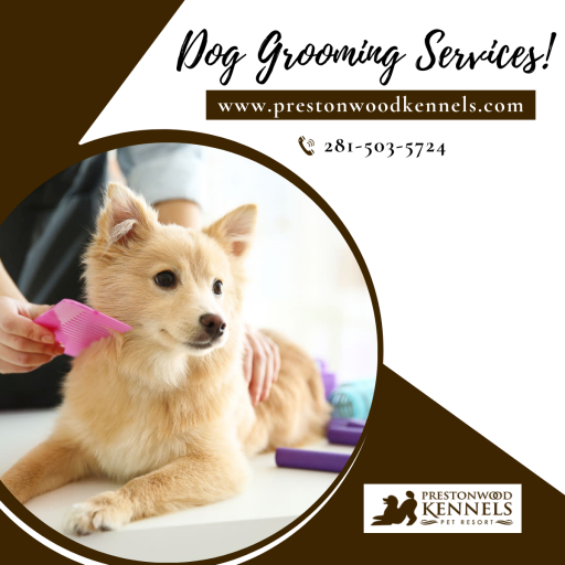 Experienced Dog Grooming Services