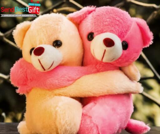 Teddy Day Gifts For Fiance