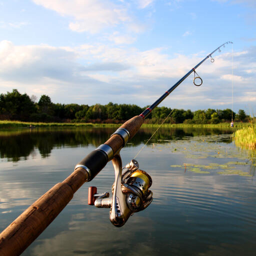 Buy Fishing Equipment Online Ireland | Fishinggear.ie
