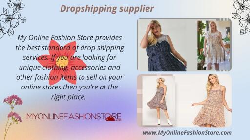 Dropshipping Supplier