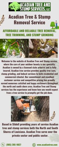 Tree Removal Sun | Acadian Tree and Stump Removal Service