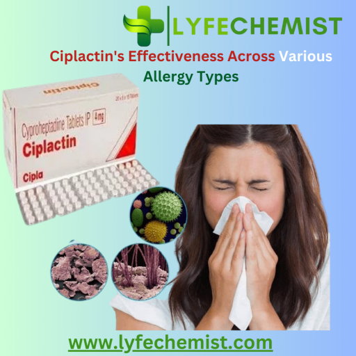 Ciplactin's Effectiveness Across Various Allergy Types