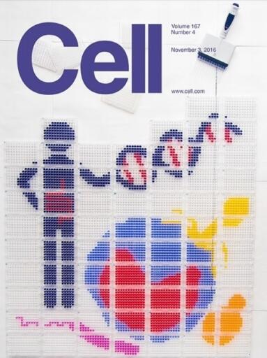 Cell 3 December 2016 (1)